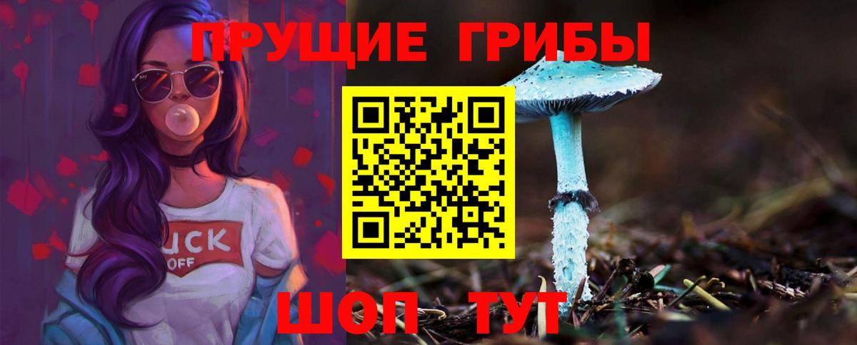 Мыски  Псилоцибиновые грибы GOLDEN TEACHER  Вход с VPN 