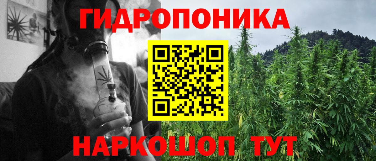 Шишки марихуана ГИДРОПОН  Вход с VPN  Бошки марихуана VHQ  Каннабис индика  Мыски 